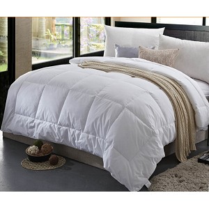 100 White Duck Down Duvet White Goose Down Quilt Core Winter